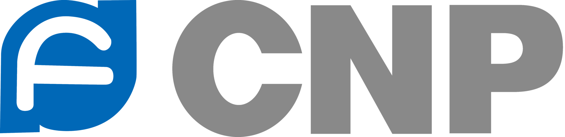 CNP Pump Logo